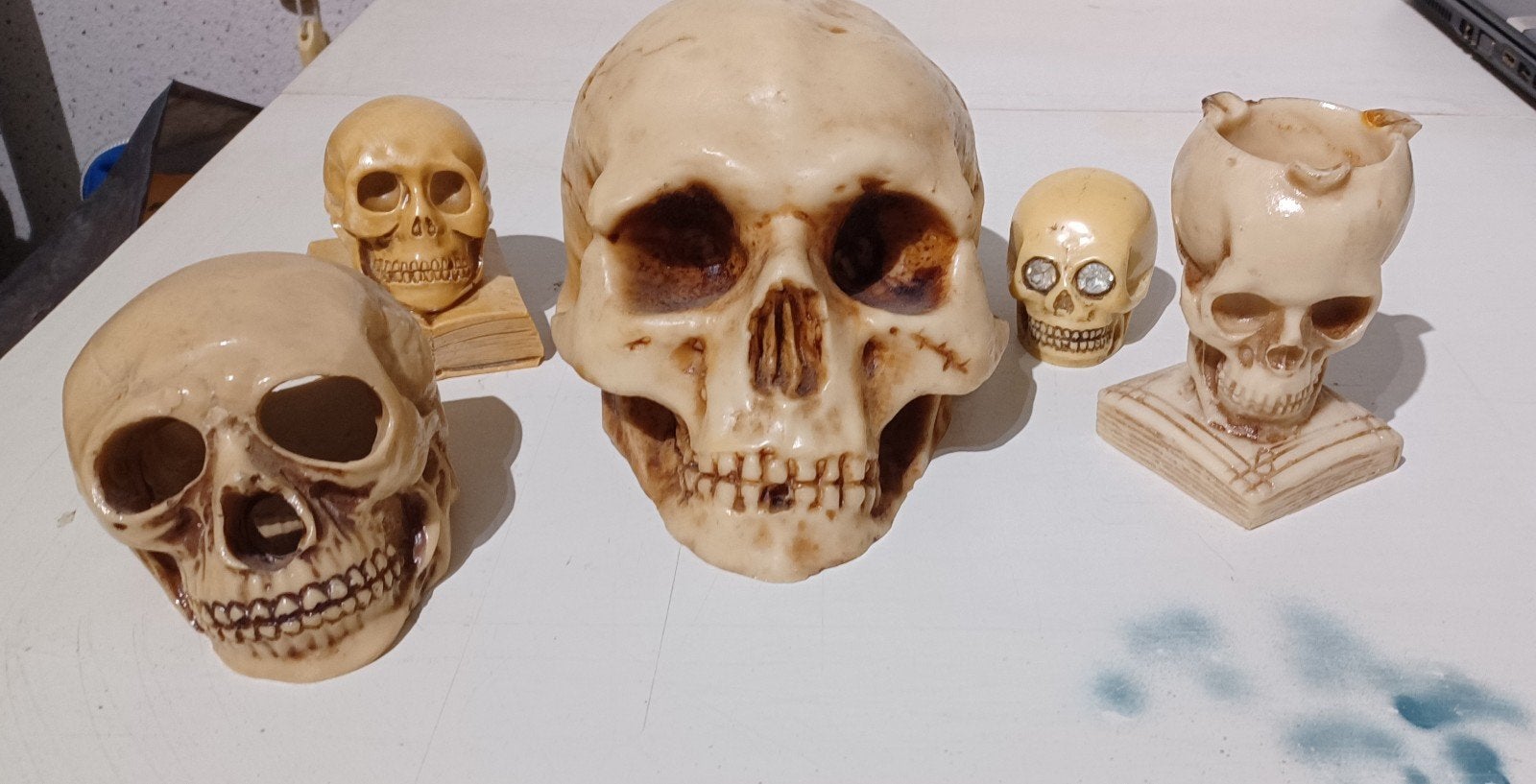 Skull Schedel-Presspaper-Asbak-Pennenhouder-Knop 
Skull, Ophalen of Verzenden