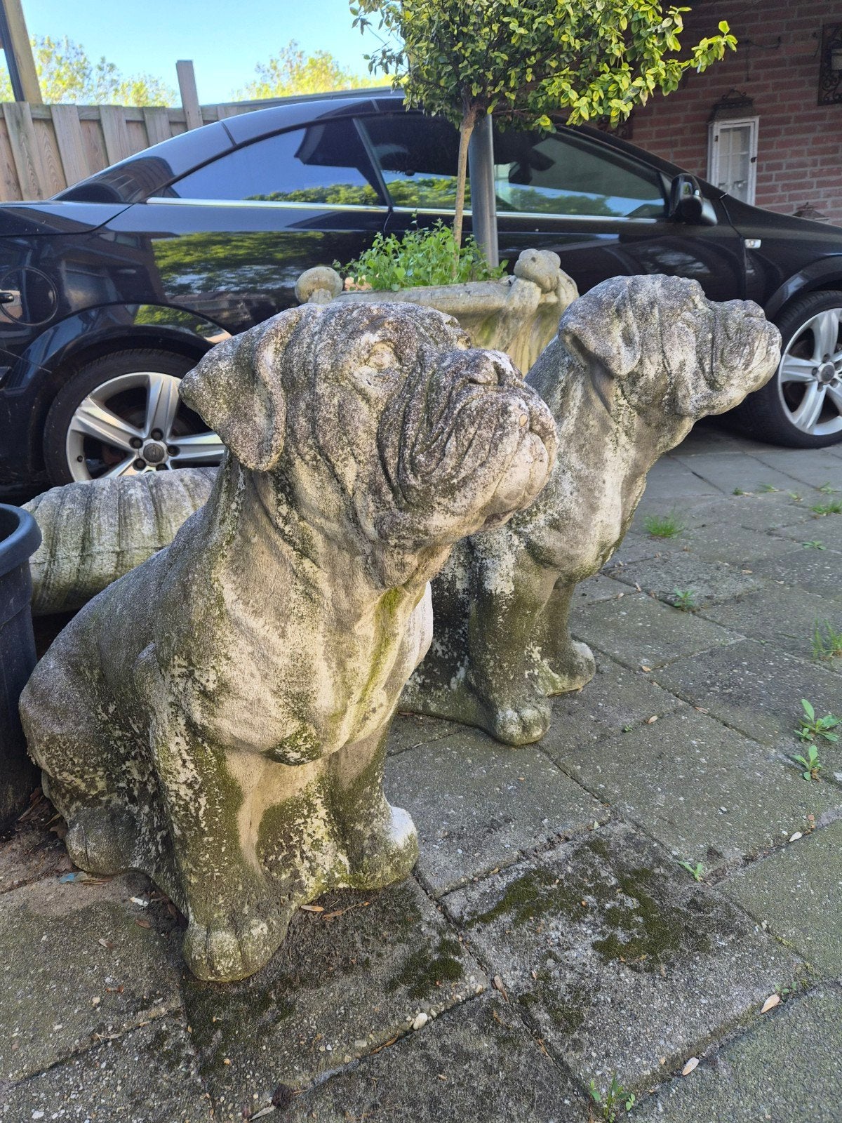 2 zware bullmastiff beelden 
70 cm hoog
100 euro pe, Ophalen, Gebruikt, Beton, Dierenbeeld