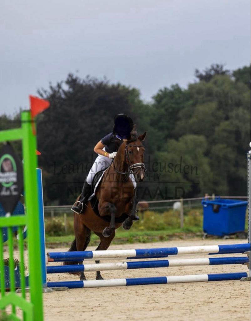 Ponyles in Eemnes – Leren paardrijden op pony’s!, Ophalen of Verzenden, Nieuw