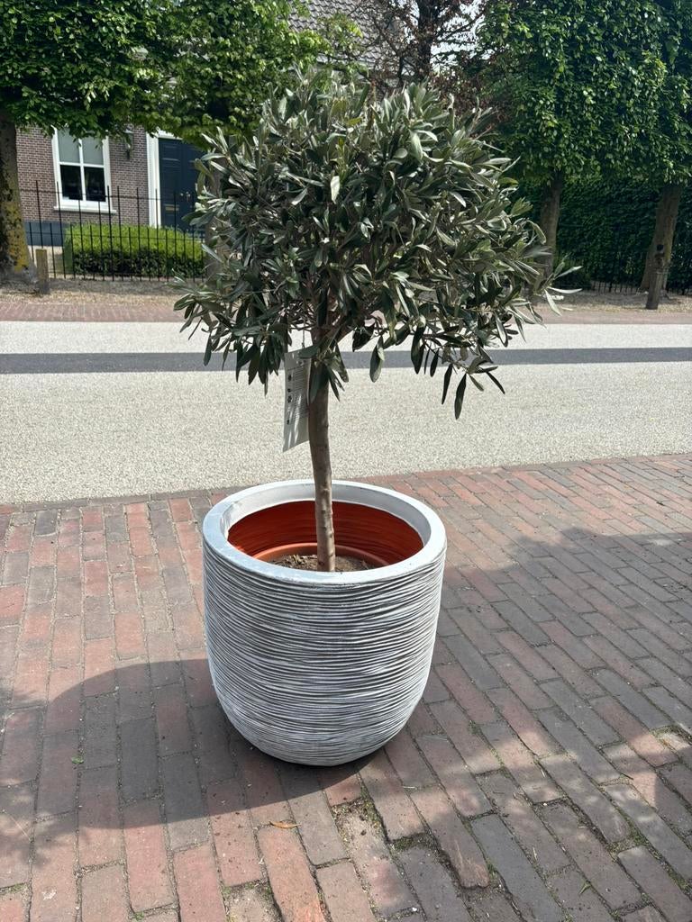 Capi bloempotten, Tuin en Terras, Bloembakken en Plantenbakken, Kunststof, Rond, Nieuw, Ophalen of Verzenden