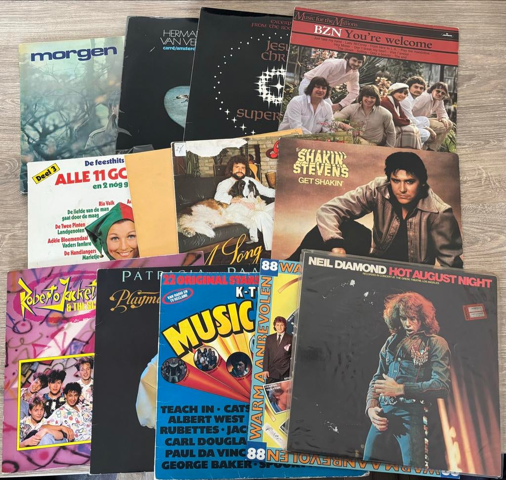 Partij vinyl lp, Cd's en Dvd's, Vinyl | Pop, Ophalen of Verzenden, Gebruikt, 12 inch
