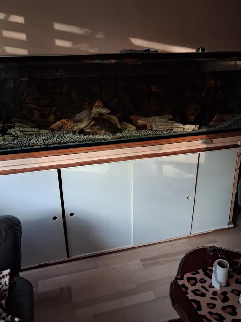Net aquarium te koop, Ophalen of Verzenden, Leeg aquarium