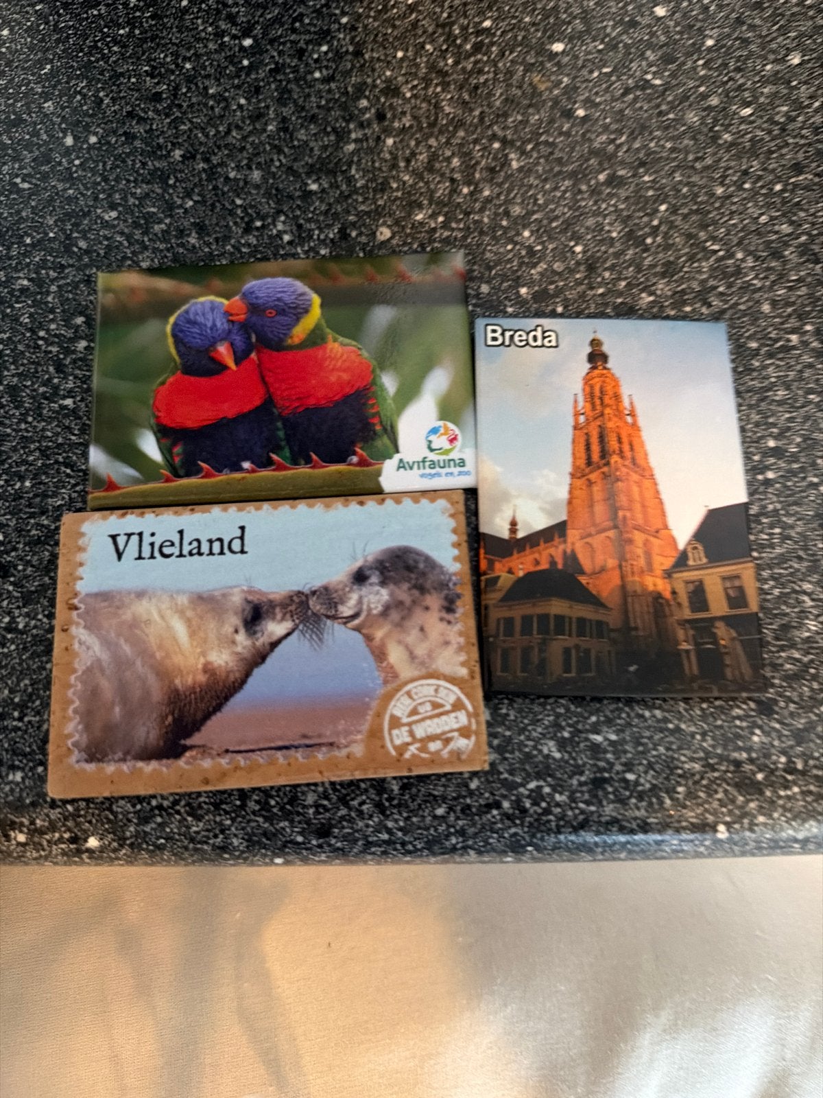 Set van 3 magneten: Vlieland, Breda en Avifauna, Ophalen of Verzenden, 1980 tot heden, Ongelopen, Noord-Brabant