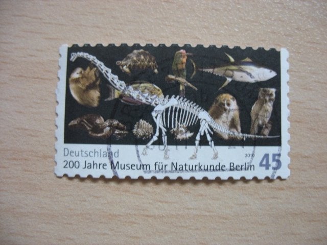 Duitsland museum natuurkunde dinosaurus, Verzenden, BRD, Gestempeld