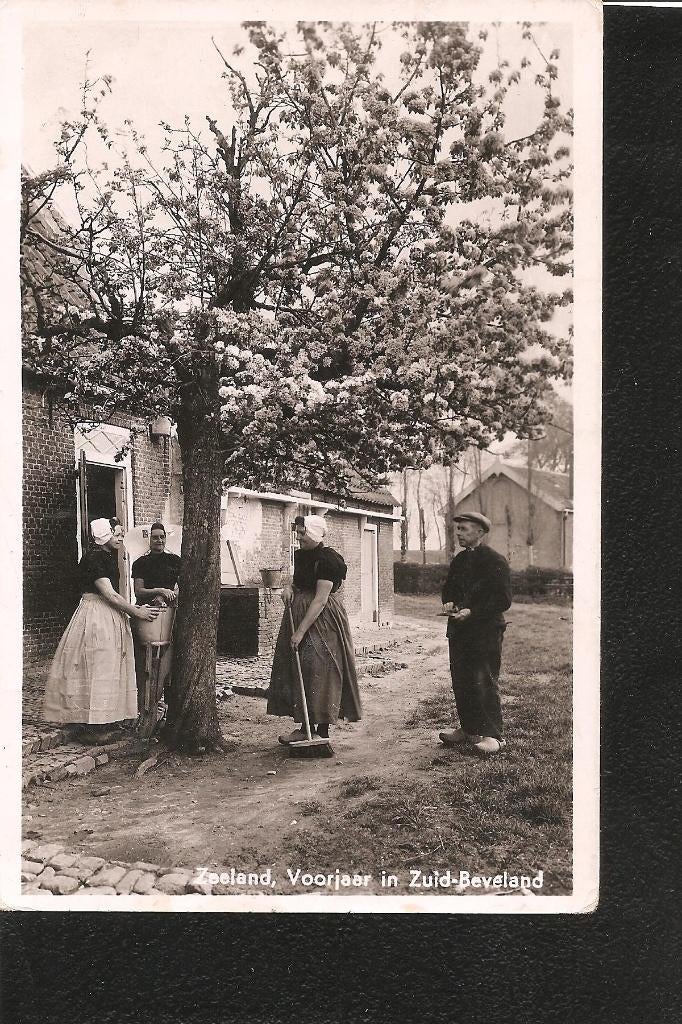 Zuid Beveland, Voorjaar, Klederdracht, Ophalen of Verzenden, 1940 tot 1960, Gelopen, Zeeland