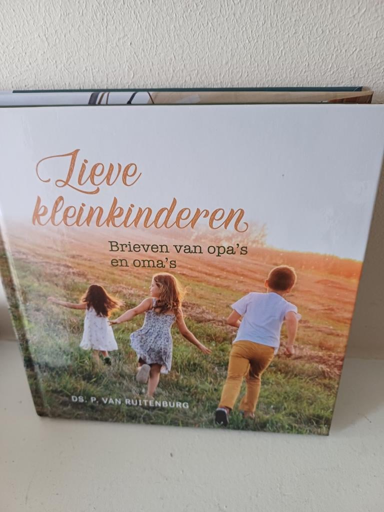 Ds.P.van Ruitenburg,  Lieve kleinkinderen, Boeken, Ophalen of Verzenden, Zo goed als nieuw