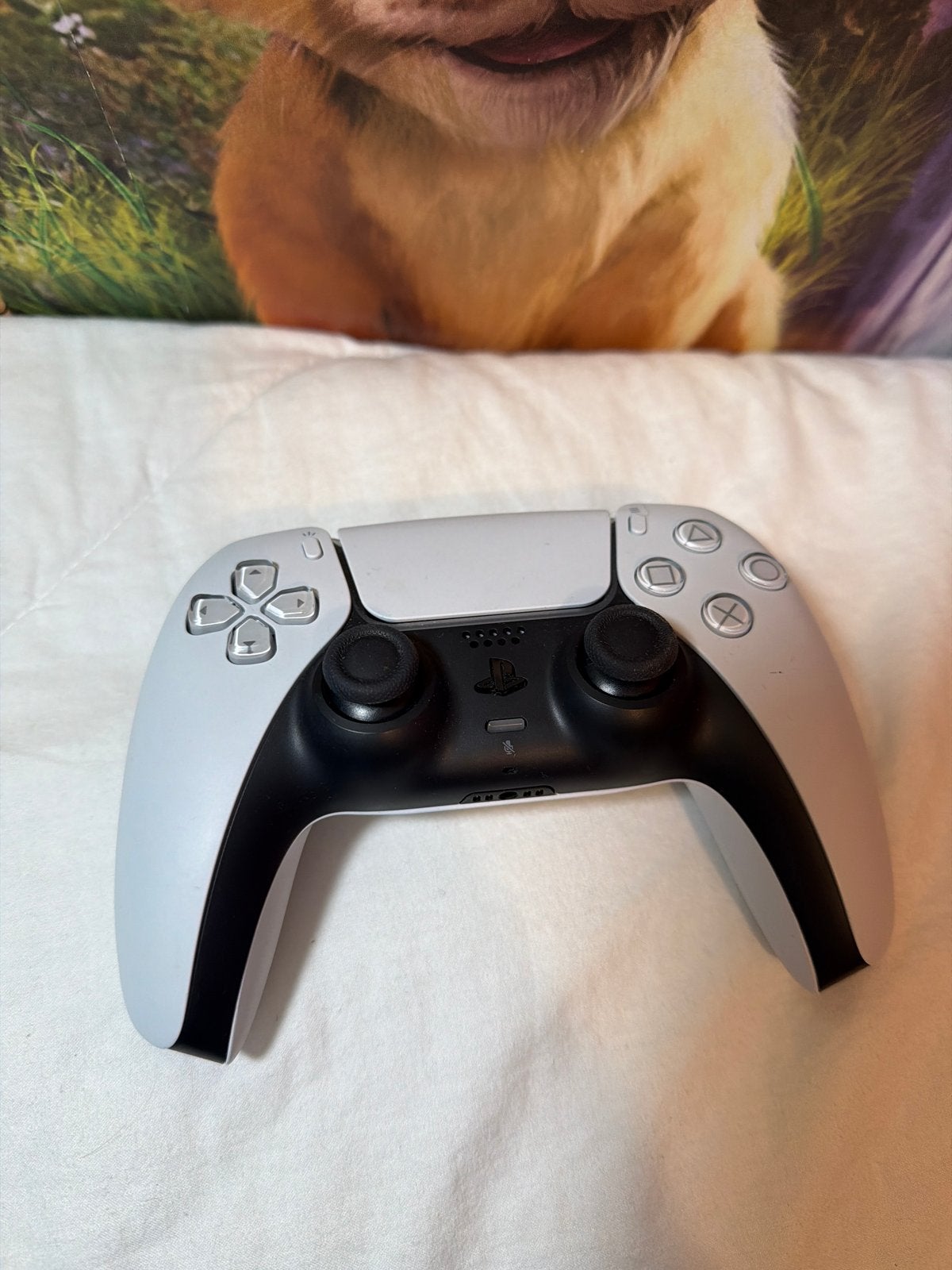Sony PlayStation 5 DualSense Controller Wit, Ophalen of Verzenden, Zo goed als nieuw, Controller, PlayStation 5