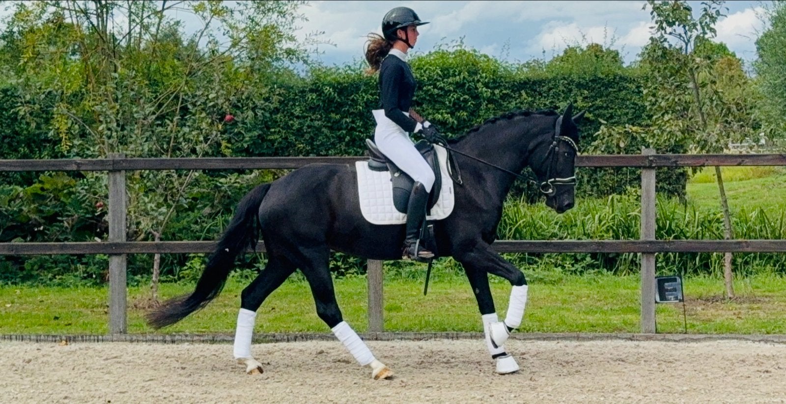 Super mooie talentvolle sport pony, Dieren en Toebehoren, Merrie, Minder dan 160 cm, Dressuurpaard, 7 tot 10 jaar