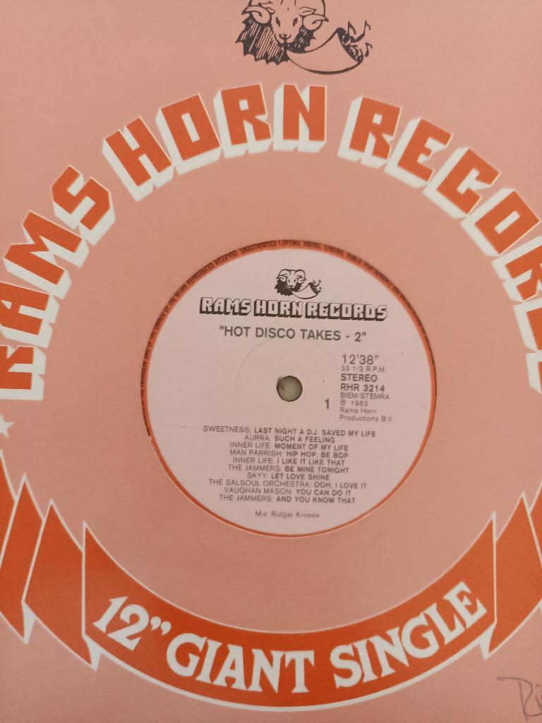 12'' RAMSHORN - Hot disco takes 2 Aurra/Skyy/Vaughan Mason, Ophalen of Verzenden, Gebruikt, 12 inch