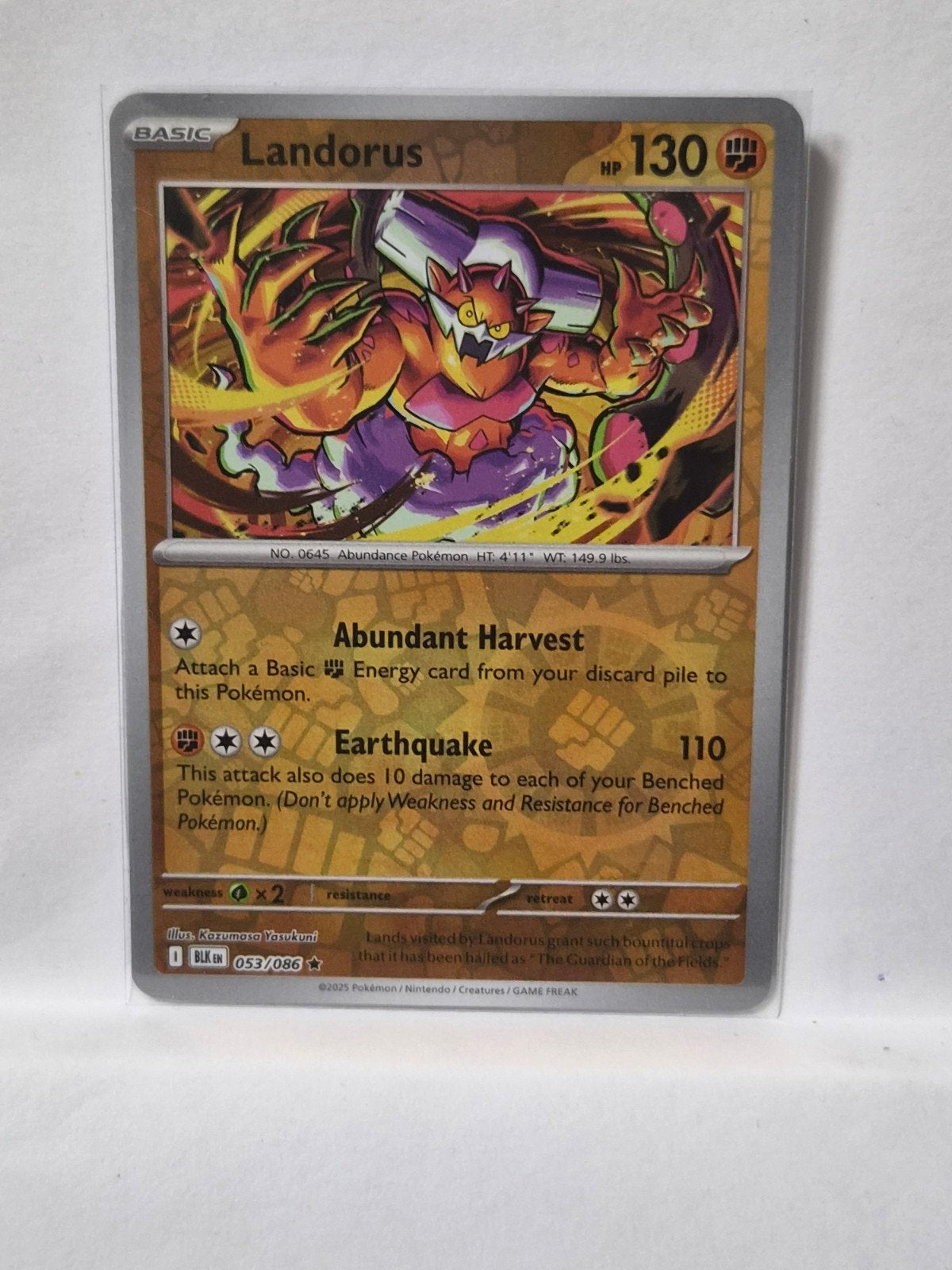 Landorus 053/086 Pokemon Kaart, Hobby en Vrije tijd, Verzamelkaartspellen | Pokémon, Ophalen of Verzenden, Zo goed als nieuw, Losse kaart