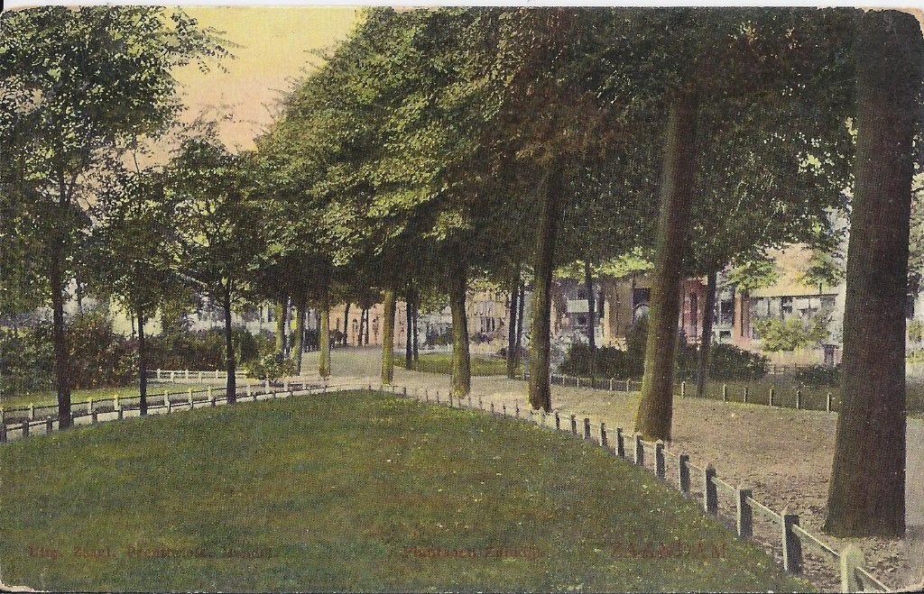Oude ongelopen ansichtkaart plantsoen zuiddijk zaandam 7256, Ophalen of Verzenden, 1940 tot 1960, Ongelopen, Noord-Holland