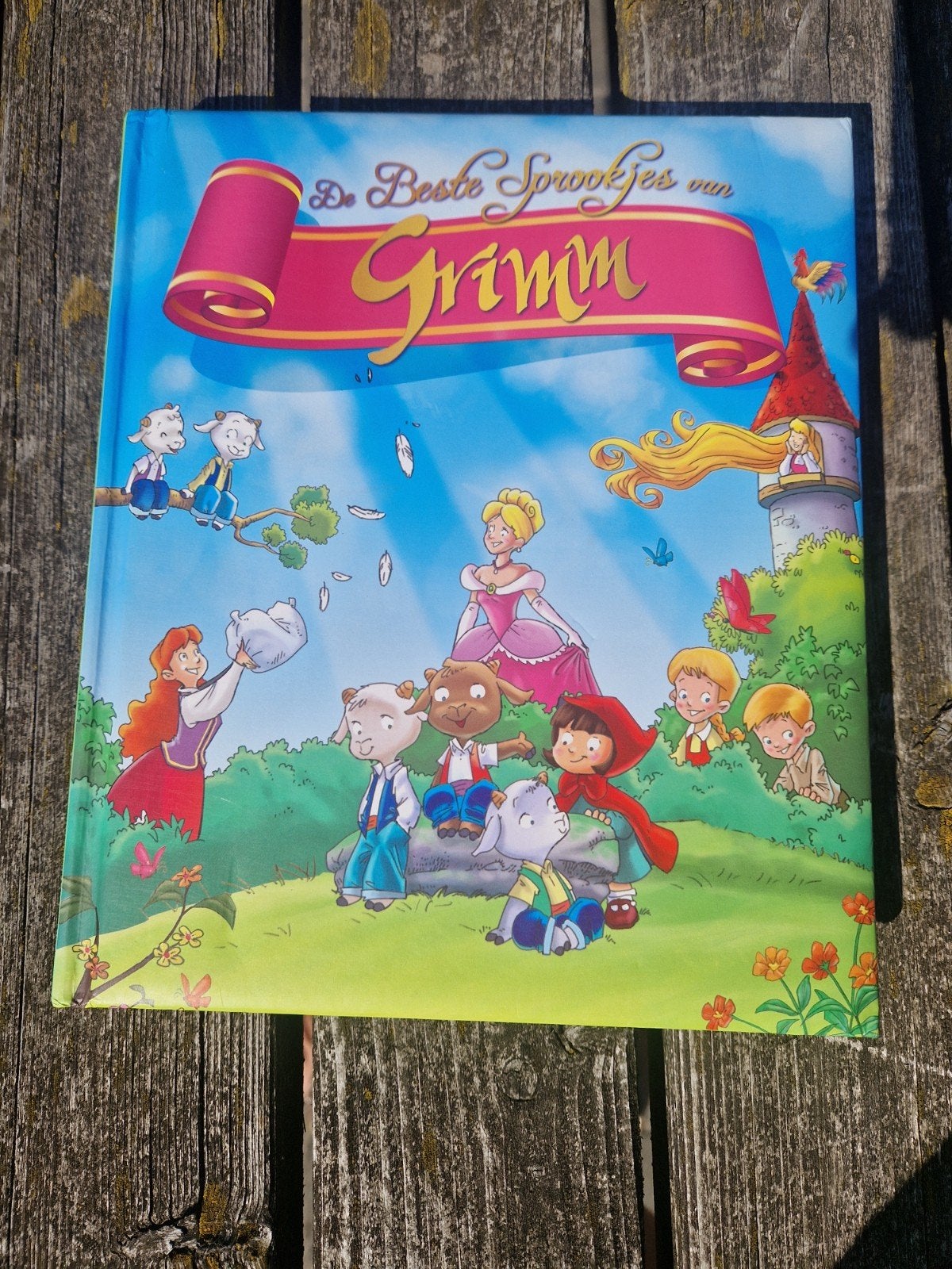 De Beste Sprookjes van Grimm - Geïllustreerd Kinderboek, Ophalen of Verzenden, Zo goed als nieuw, Gebroeders Grimm