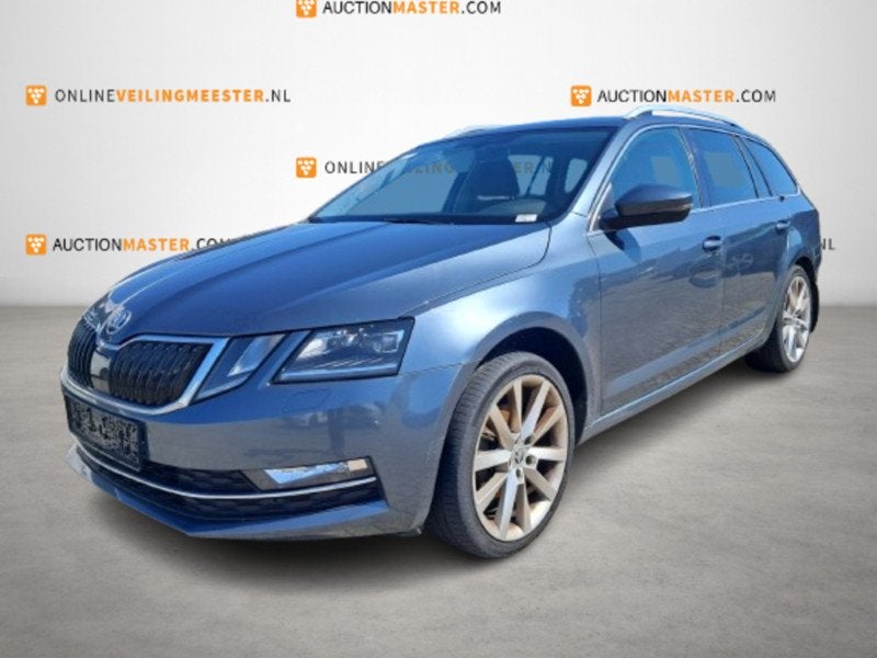 Personenauto, Skoda, Octavia Combi, 2.0 TDI Greentech Style, Automaat, Overige carrosserieën, Overige brandstoffen, Bedrijf