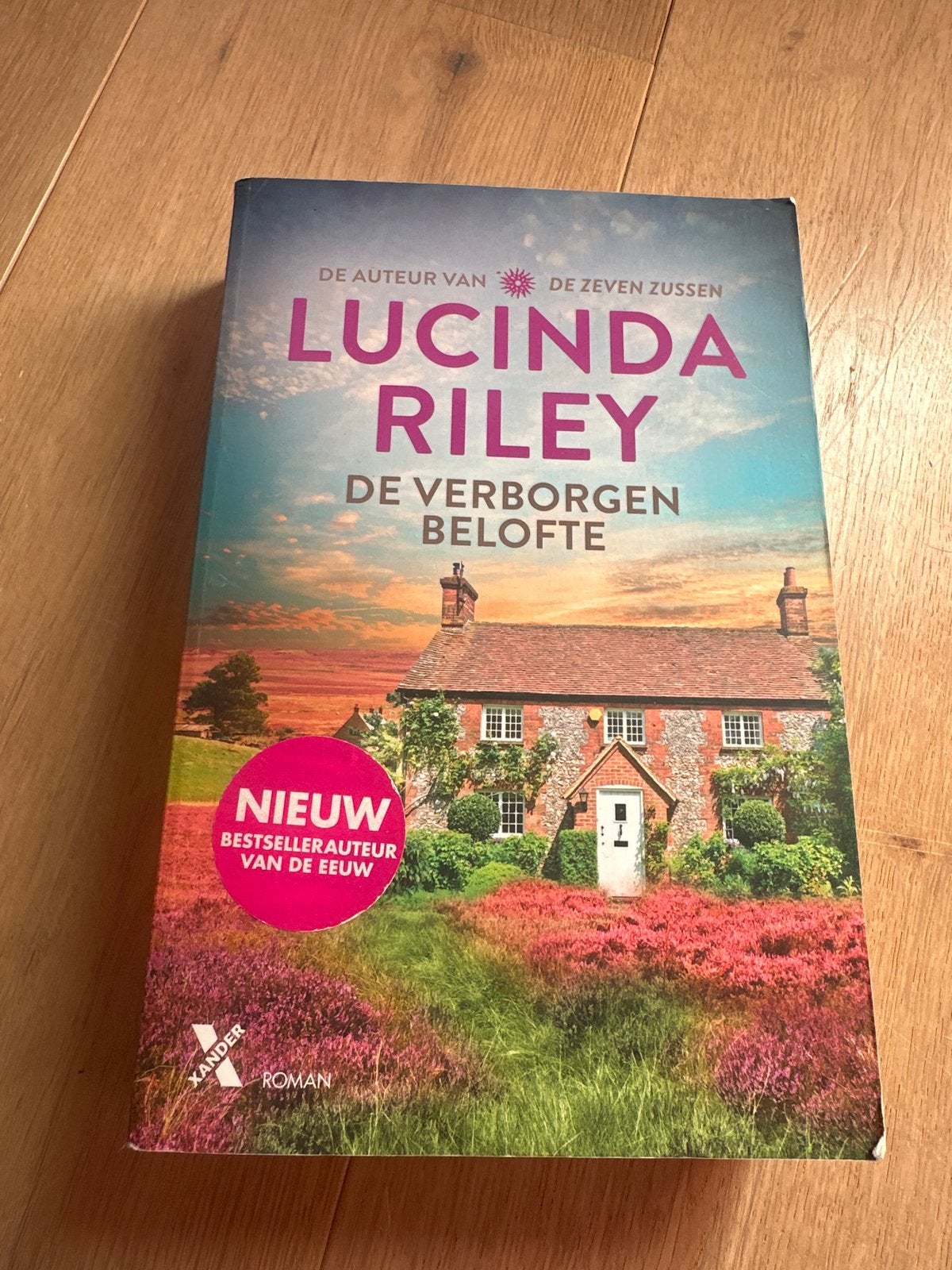 Lucinda Riley - De Verborgen Belofte (Roman), Ophalen of Verzenden, Gelezen, Nederland