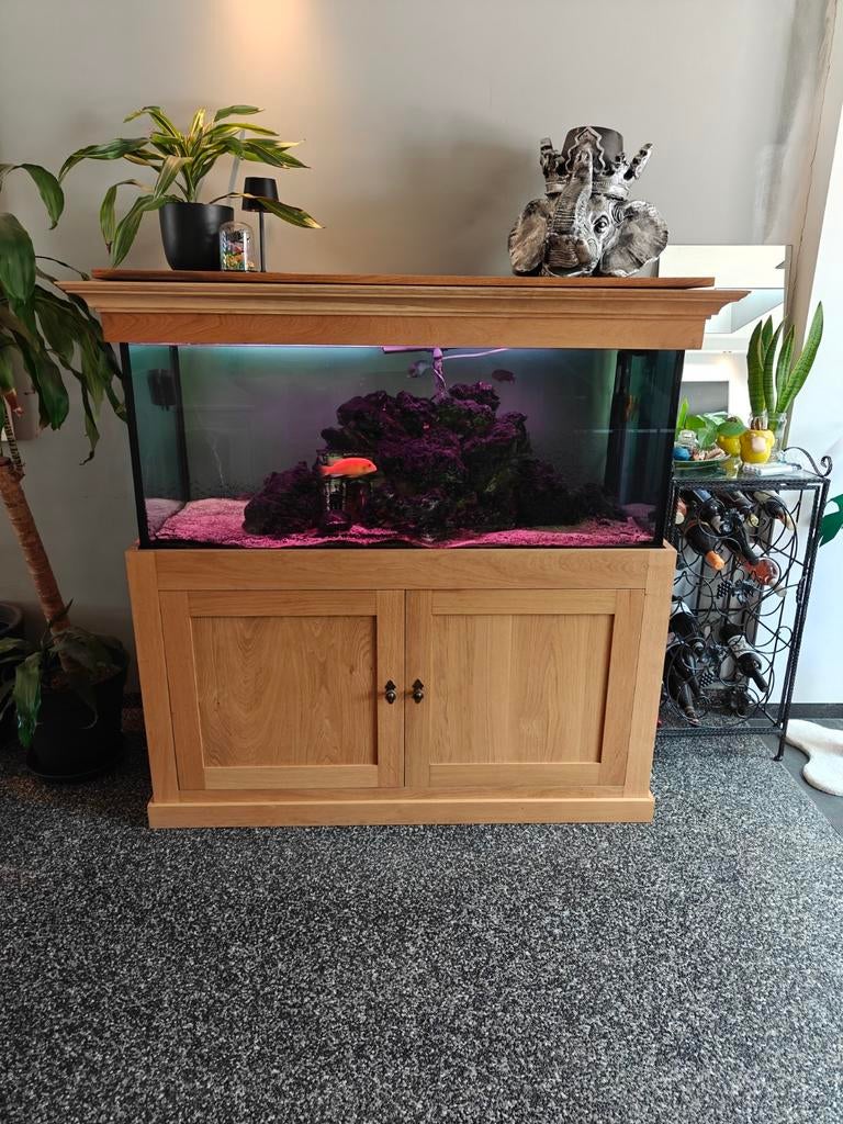 Aquarium met ombouwkast, Ophalen, Gebruikt, Overige merken, Gevuld zoetwateraquarium