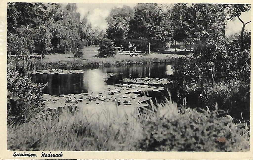 Groningen- -Stadspark., Verzenden, 1940 tot 1960, Gelopen, Groningen