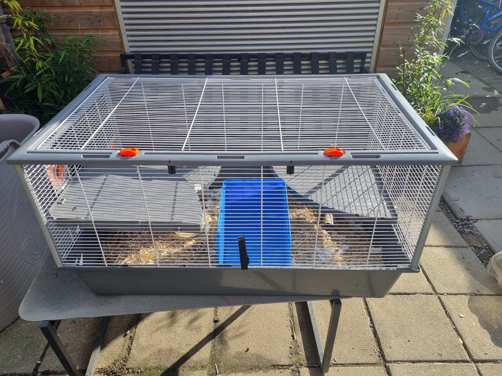 konijn / hamster kooi, Kooi, Minder dan 75 cm, Hamster, Ophalen