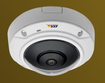 Axis Communications M3007-PV security webcam panorama indoor, Ophalen of Verzenden, Nieuw, Binnencamera