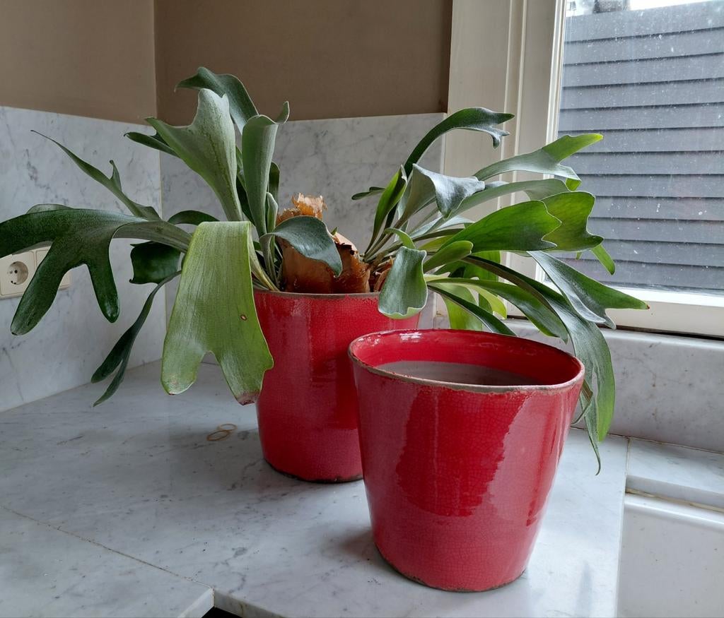 Set 2 grote warm rode bloempotten craquelé Jelle Quint, Huis en Inrichting, Ophalen of Verzenden, Zo goed als nieuw, Rood, Overige materialen