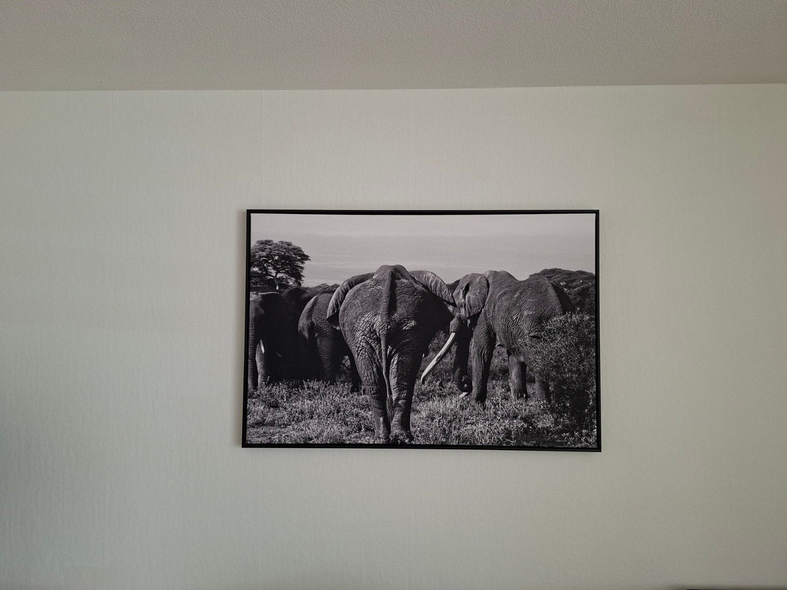 Foto schilderij 120x80cm, Ophalen of Verzenden, Foto, Fotografie, Ingelijst