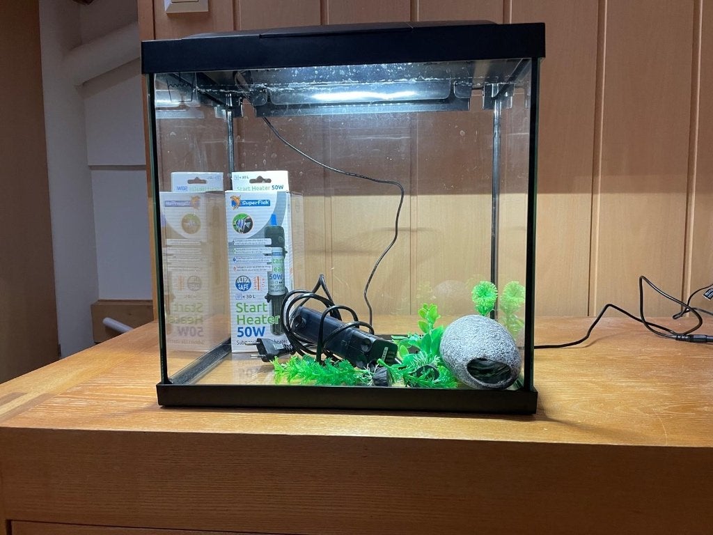 Aquarium, Dieren en Toebehoren, Ophalen, Gebruikt, Leeg aquarium