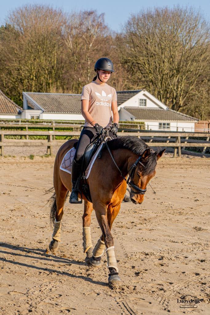 Fantastische lease pony aangeboden, Ophalen
