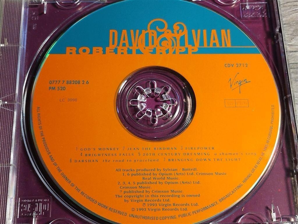 David Sylvian & Robert Fripp ‎– The First Day, Ophalen of Verzenden, Zo goed als nieuw
