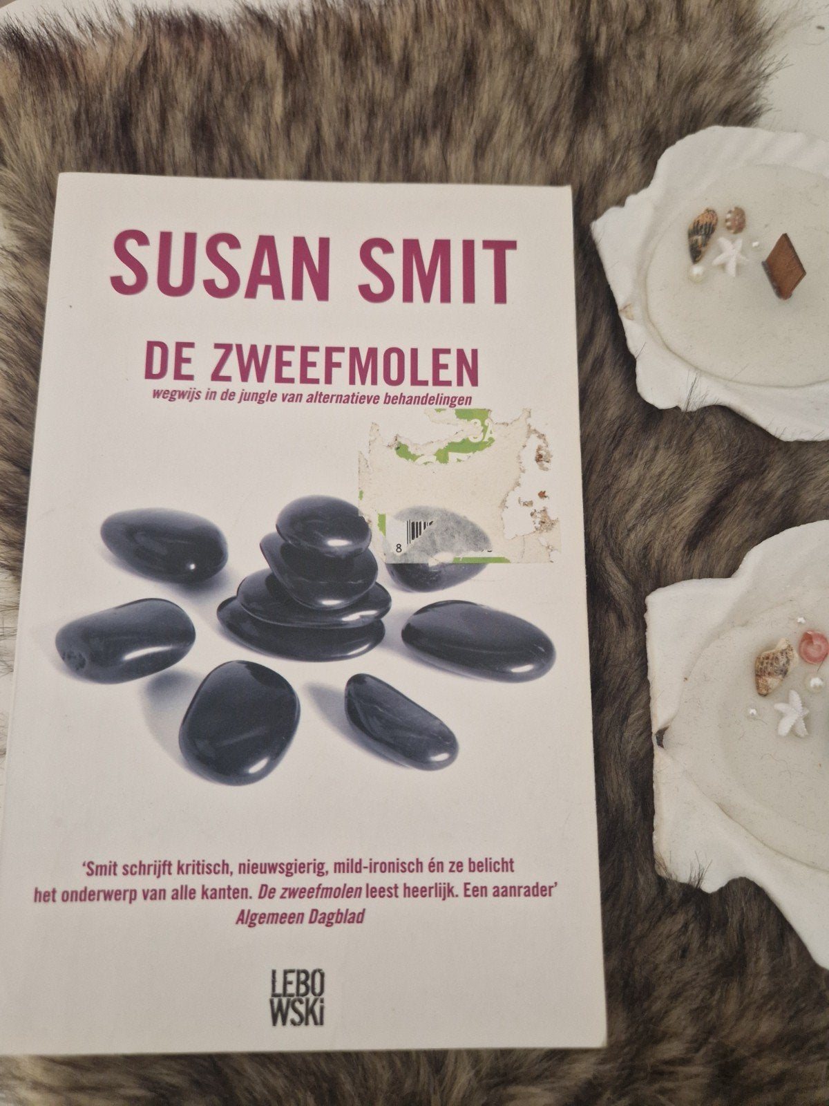 De Zweefmolen: Wegwijs in de jungle van alternatieve behand, Achtergrond en Informatie, Spiritualiteit algemeen, Ophalen of Verzenden