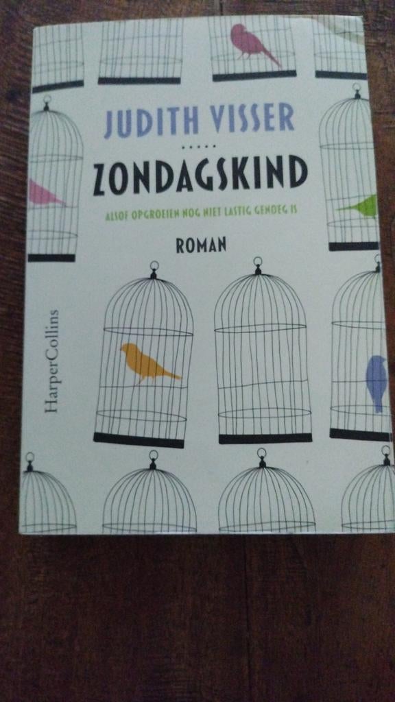Zondagskind - Judith Visser (Roman), Boeken, Ophalen of Verzenden, Gelezen, Judith Visser, Nederland