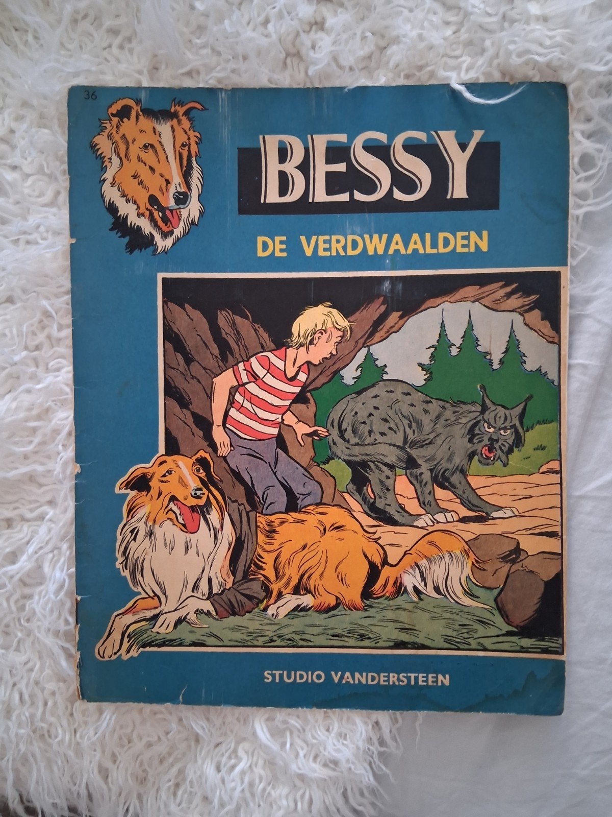 Bessy - De Verdwaalden (Studio Vandersteen), Boeken, Stripboeken, Eén stripboek, Ophalen, Gelezen, Studio Vandersteen