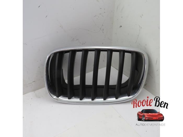 Grille van een BMW X5, Gebruikt, -, -, Ophalen of Verzenden