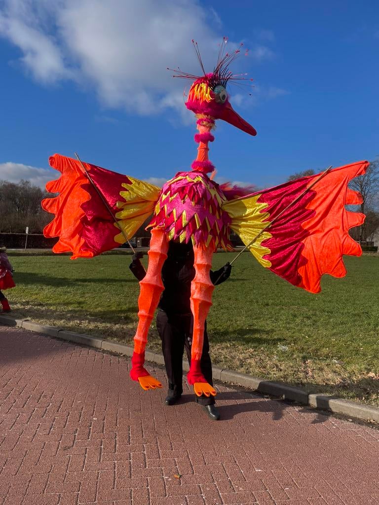 Loopgroep vogels 7 stuks, Ophalen, Zo goed als nieuw, Carnaval, Kleding