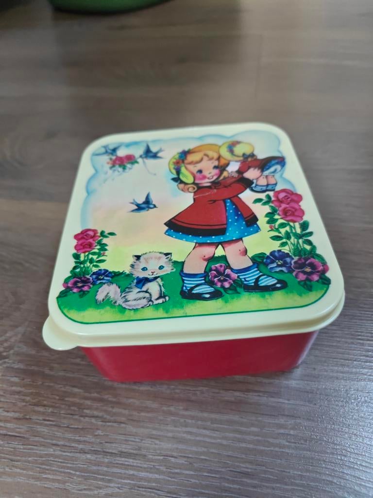 Vintage Plastic Broodtrommel Rex Home, Ophalen of Verzenden, Gebruikt