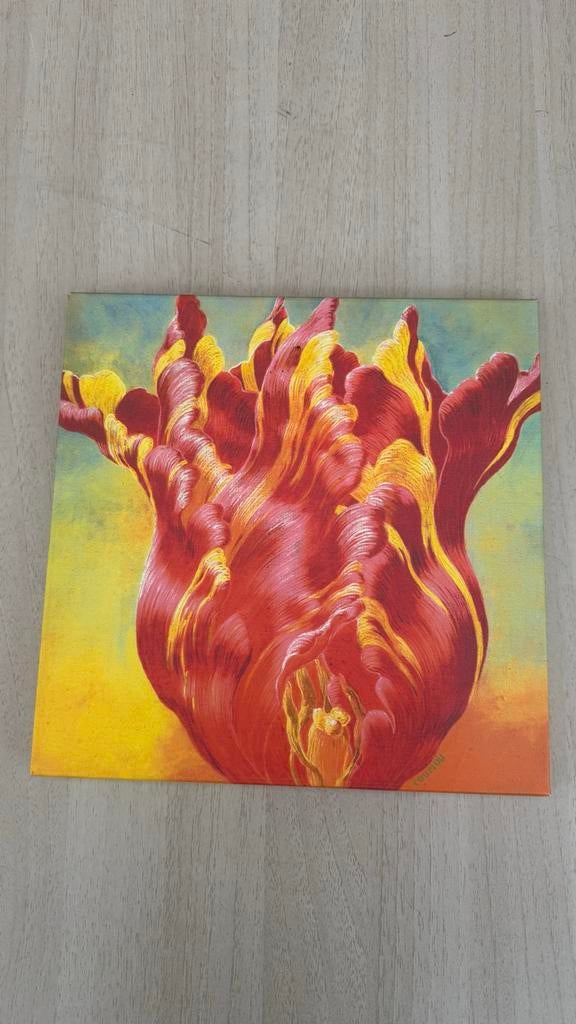 Addy Coumou - Tulp 2 - Zeefdruk, Ophalen of Verzenden