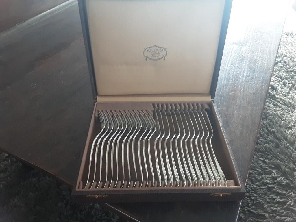 Antiek  christofle visbestek 24 dlgin mooie casette 195.00, Antiek en Kunst, Antiek | Bestek, Ophalen of Verzenden
