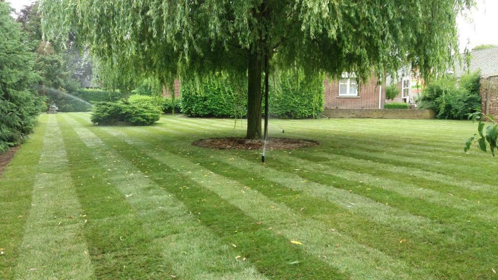 Foto 21 van Inzaaien gras, egaliseren tuin, frezen, gras zaaien