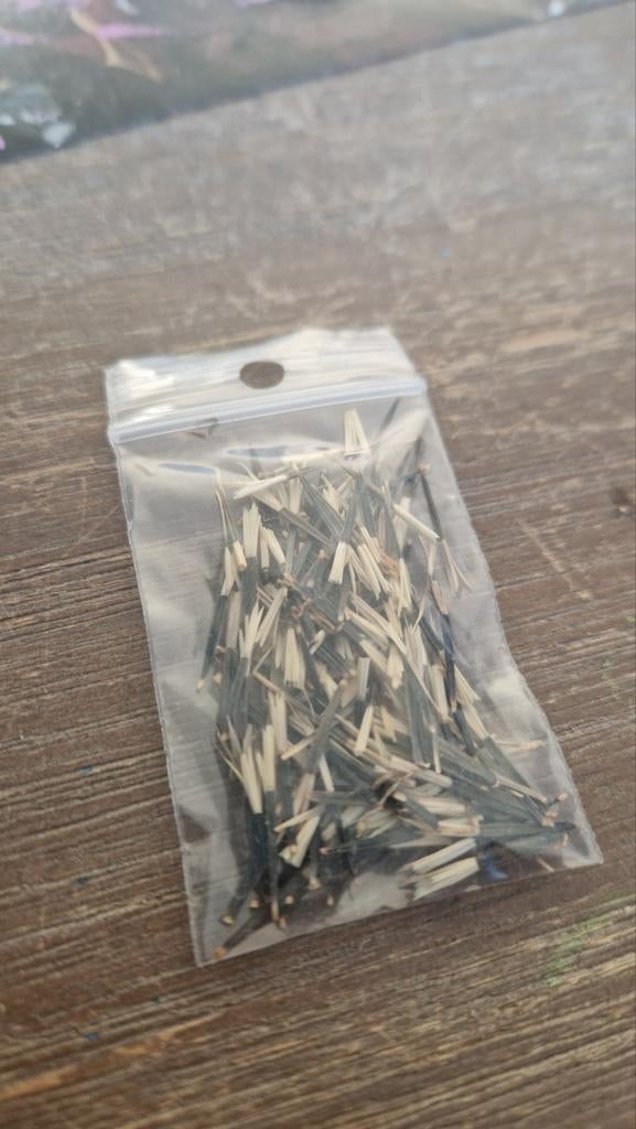 Afrikaantjes zaden voor een kleurrijke tuin, Ophalen of Verzenden, Voorjaar, Volle zon, Zaad
