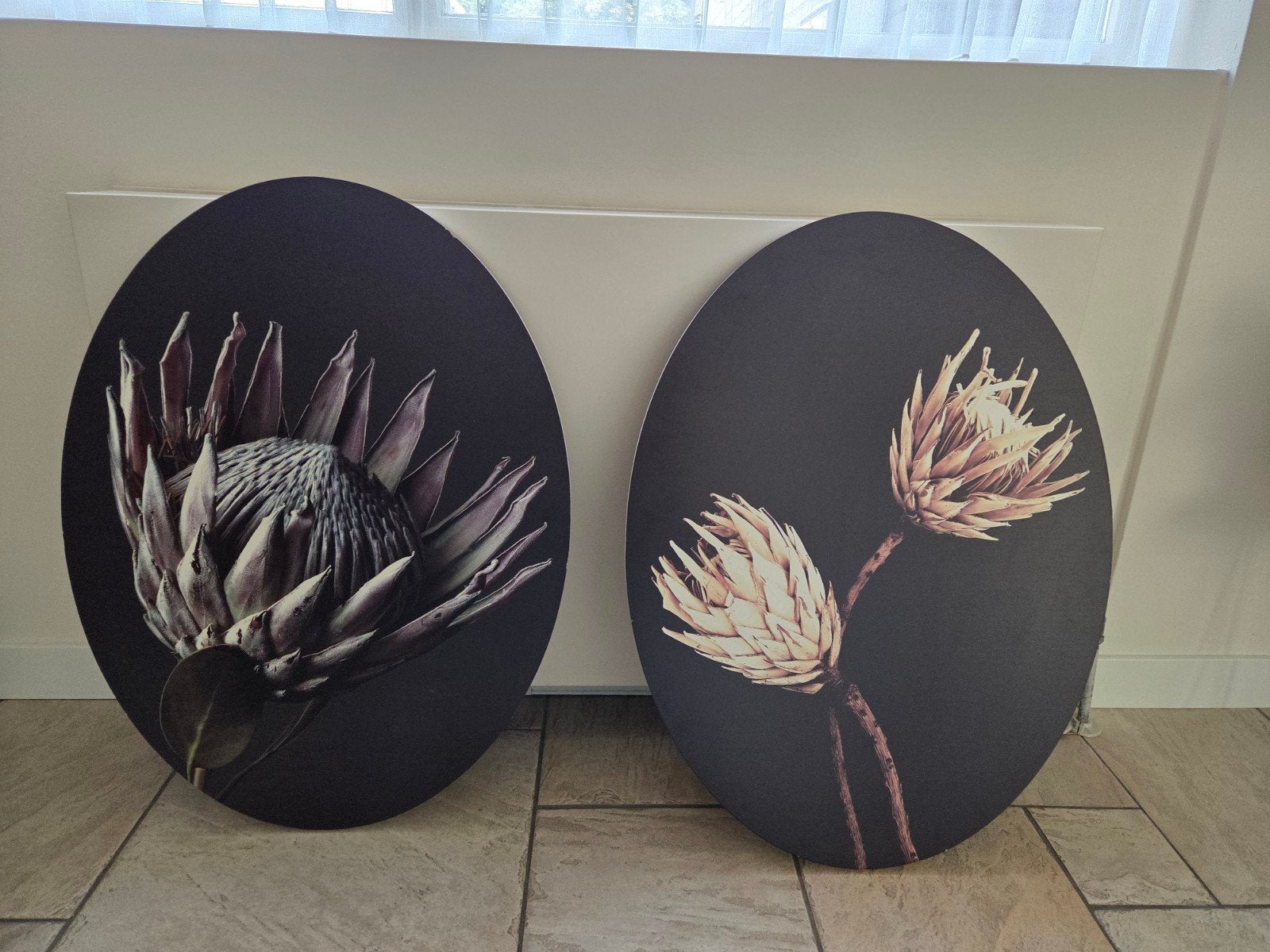2 Ovale Wanddecoraties met Protea Bloemen - 68x58 cm, Ophalen, Hout, Meerkleurig, Decoratieobject