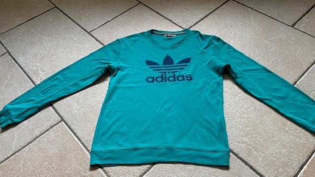 Sweatshirt, trui lange mouwen maat 176, Ophalen of Verzenden, Gebruikt, Jongen of Meisje, Shirt of Longsleeve