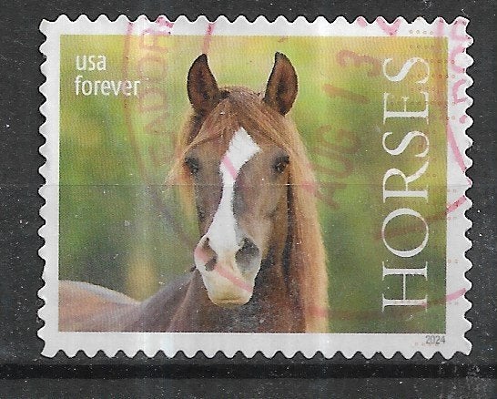203-26 USA 2024 / Horses, Verzenden, Gestempeld, Noord-Amerika