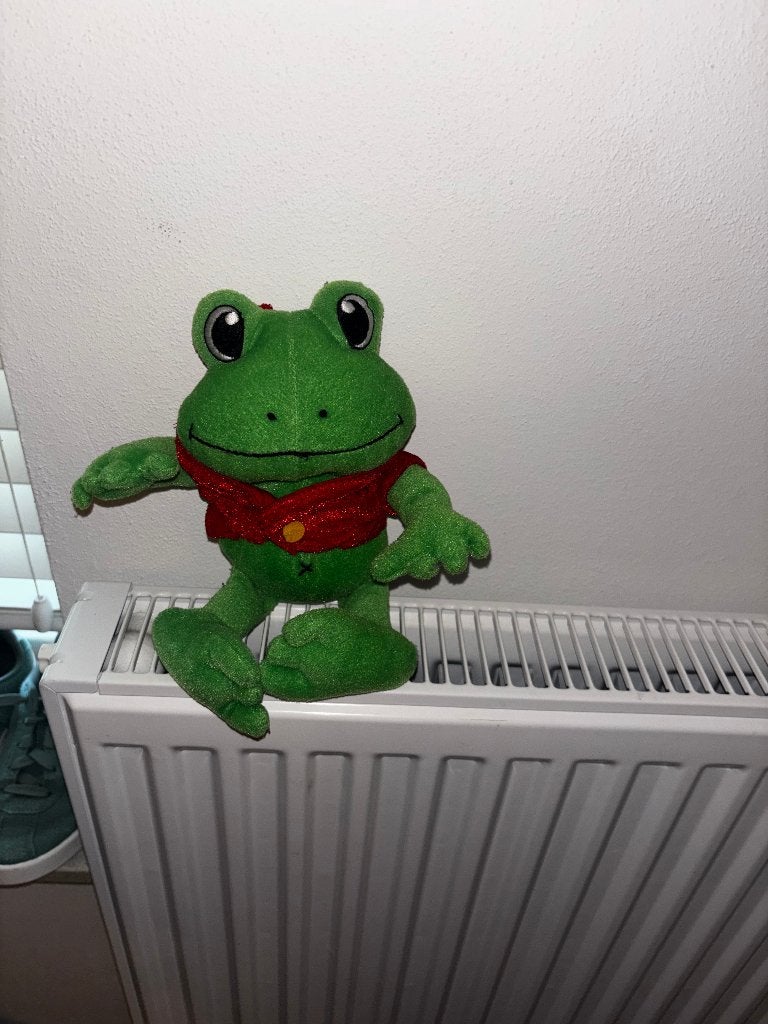 Duinrell Rick de Kikker knuffel-ca 22 cm (advr 201), Kikker, Groen, Overige karakters, Ophalen of Verzenden