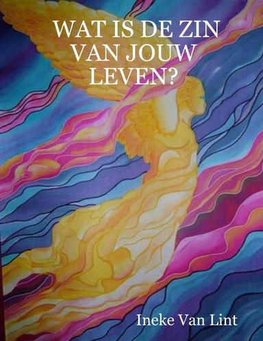 wat is de zin van jouw leven, Boeken, Ophalen of Verzenden, Zo goed als nieuw, Van lint