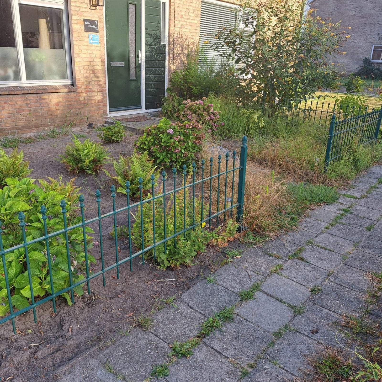 Groen sierhekwerk voor tuin of voortuin 10 meter (5x200x57), Ophalen, Gebruikt, IJzer, Sierhekwerk
