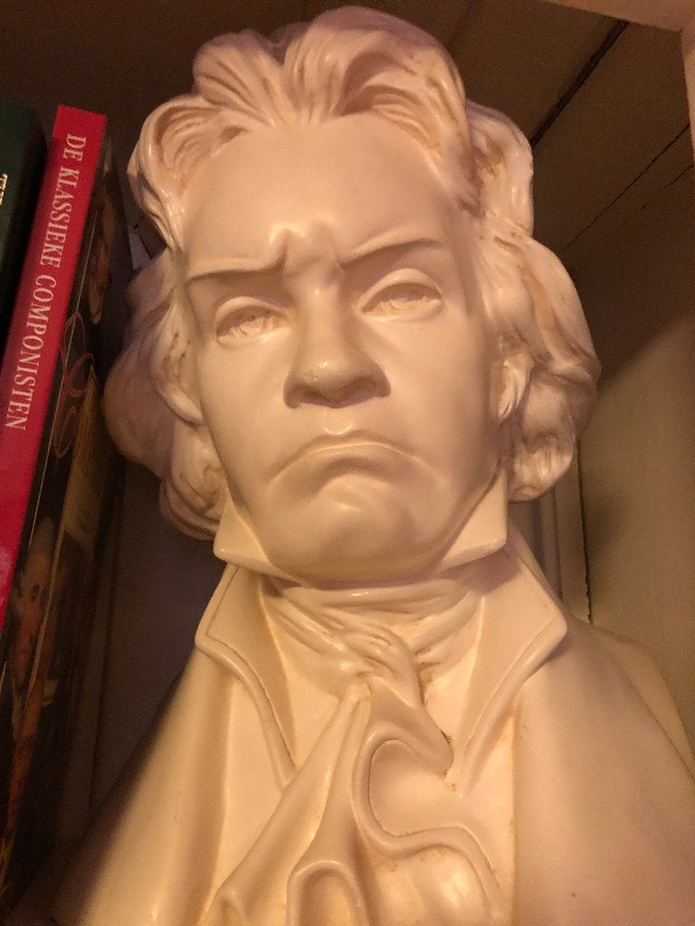 Buste Beethoven, Buste, Ophalen of Verzenden, 20 - 50 cm, Wit
