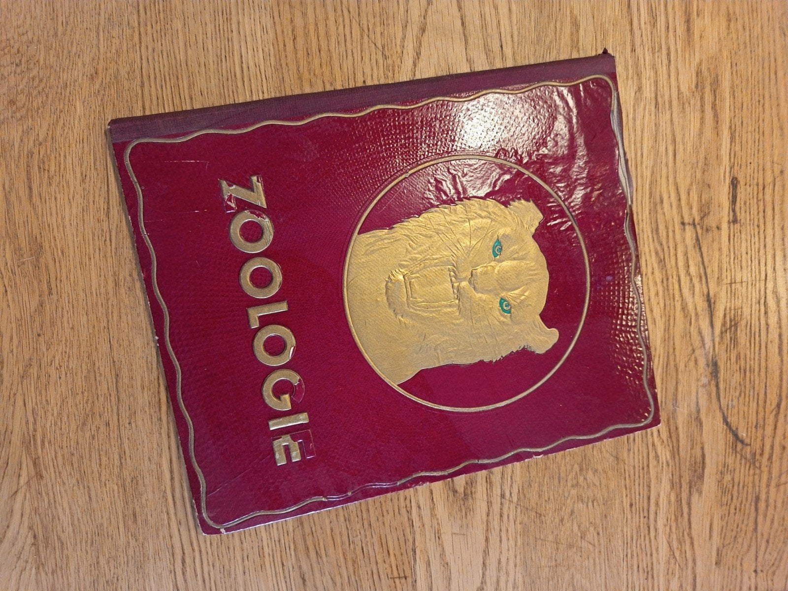 Vintage Kwatta Zoologie Plaatjesalbum - Incompleet, Hobby en Vrije tijd, Ophalen of Verzenden, Gebruikt, Plaatje