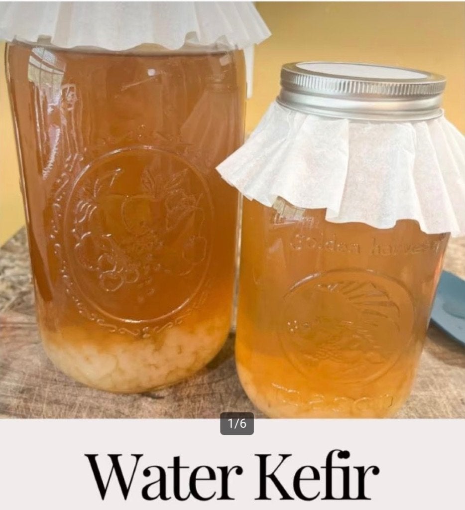 Waterkefir of Komboecha, Ophalen of Verzenden, Nieuw, Poeder of Drank