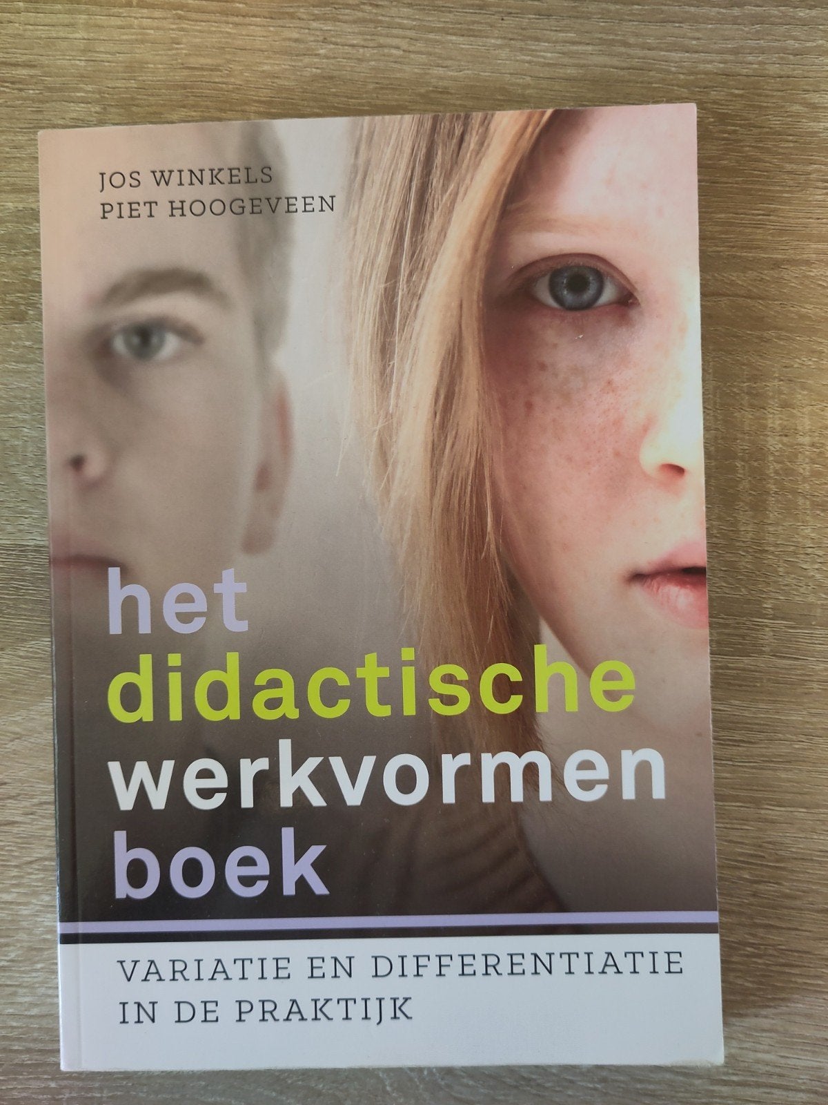 Piet Hoogeveen - Het didactische werkvormenboek, Sociale wetenschap, Ophalen of Verzenden, Zo goed als nieuw, Piet Hoogeveen; Jos Winkels
