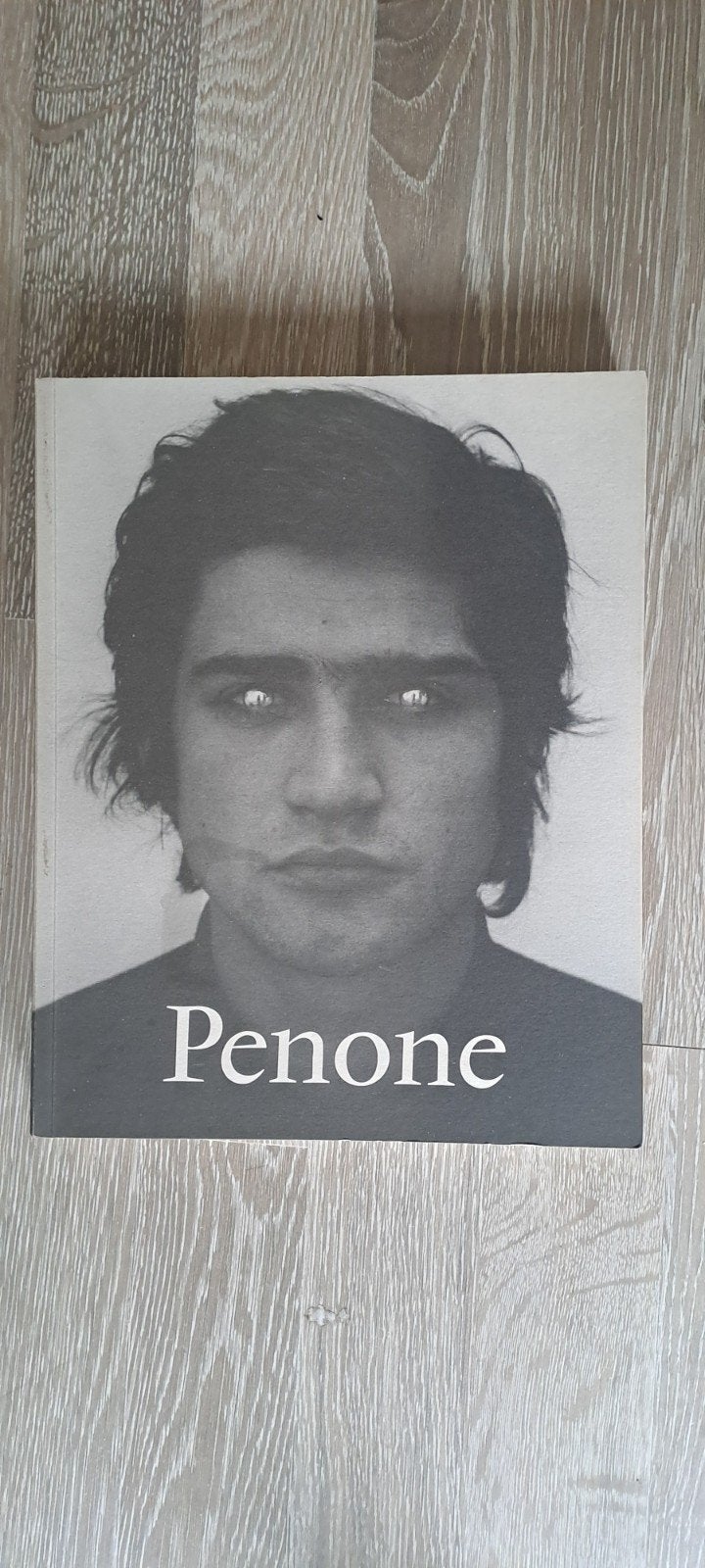 Giuseppe Panone, Ophalen of Verzenden, Zo goed als nieuw