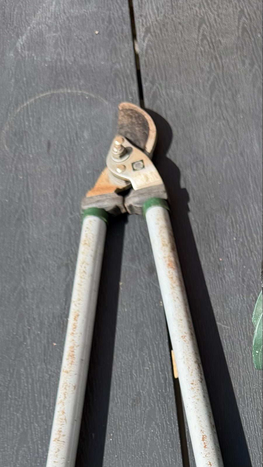 Grote knipschaar voor tuinonderhoud, Ophalen, Gebruikt, 30 t/m 39 mm