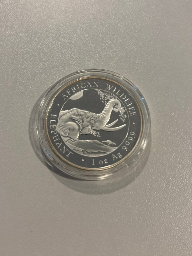 2023 Somalische Olifant 1 oz Zilver | African Wildlife, Postzegels en Munten, Munten | Afrika, Ophalen of Verzenden, Overige landen